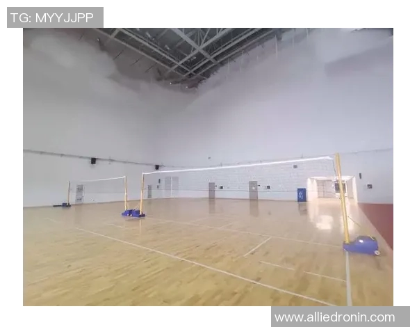 成都排球队实力对比深度解析各队优势与不足全景展现