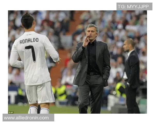 魏姓足球明星的辉煌历程与成就探秘